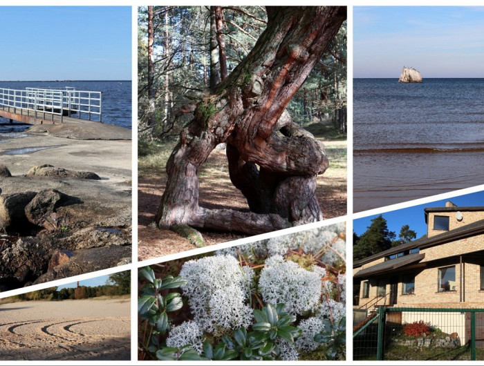 Pārgājiens apkārt Rīgai. Kuģa vraks, militāri stāsti un feja 1. posmā no Mangaļsalas līdz Jaunciemam
